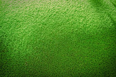 Bahçe ve bahçe dekoru olarak parlak yeşil plastik çimenler