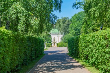 Yayaların yaz aylarında modern yeşil şehir parkında yürümeleri için bir yol.