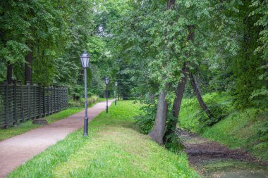 Yayaların yaz aylarında modern yeşil şehir parkında yürümeleri için bir yol.