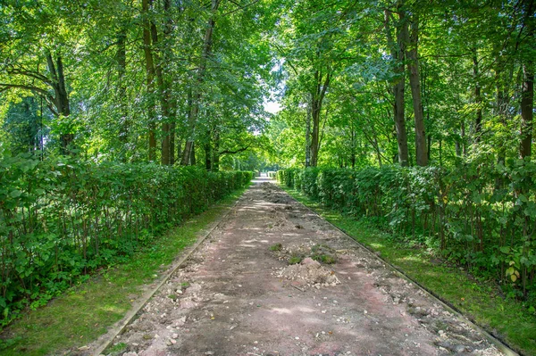 Chemin Pour Les Piétons Marcher Dans Parc Urbain Moderne Verdoyant — Photo