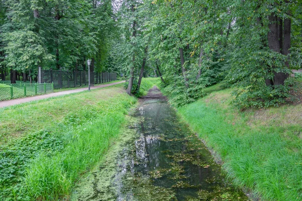 Path Pedestrians Walk Modern Green City Park Summer Daytime — Stock Photo, Image