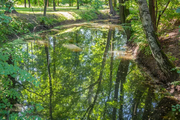 Parque Verão Cidade Com Pitoresco Fluxo Sombrio Vegetação — Fotografia de Stock