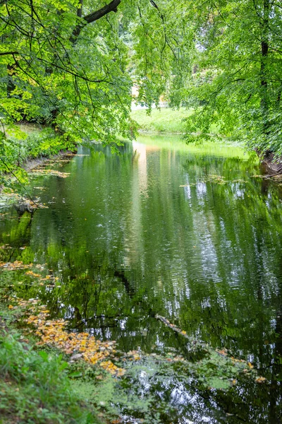 Parc Été Ville Avec Ruisseau Ombragé Pittoresque Verdoyant — Photo
