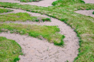 Yeşil bir bahçe ya da arka bahçenin manzarasını tasarlama seçeneği
