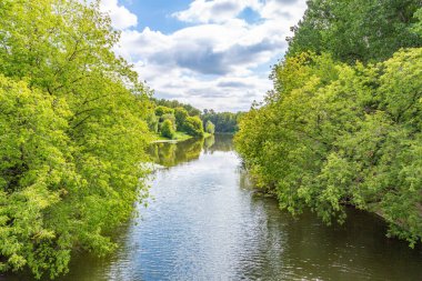 Sığ nehir ve gündüz vakti yeşil yaz kıyıları