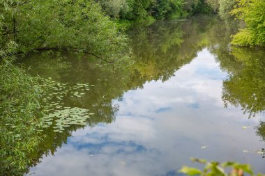 Sığ nehir ve gündüz vakti yeşil yaz kıyıları