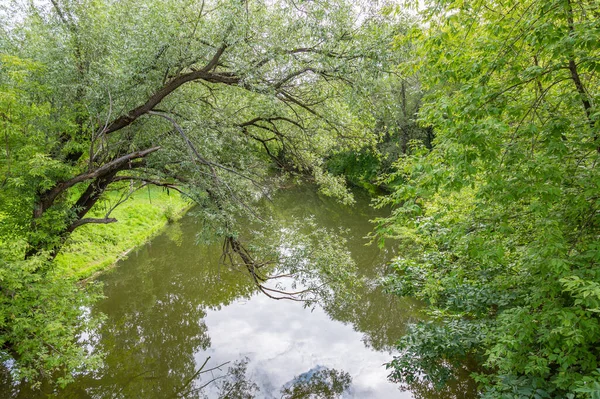 Mělká Úzká Řeka Zelené Letní Pobřeží Dne — Stock fotografie