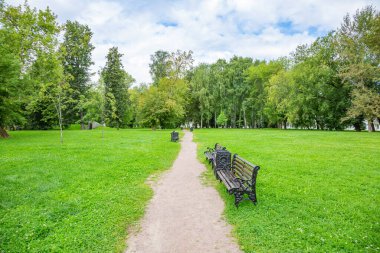 Yaz kenti parkının yürüyüş alanında yeşil çimenler.