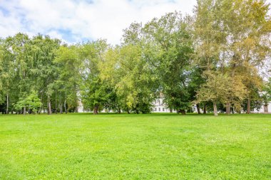 Yaz kenti parkının yürüyüş alanında yeşil çimenler.