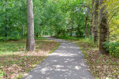 Yaz kenti parkının yürüyüş alanında yeşil çimenler.