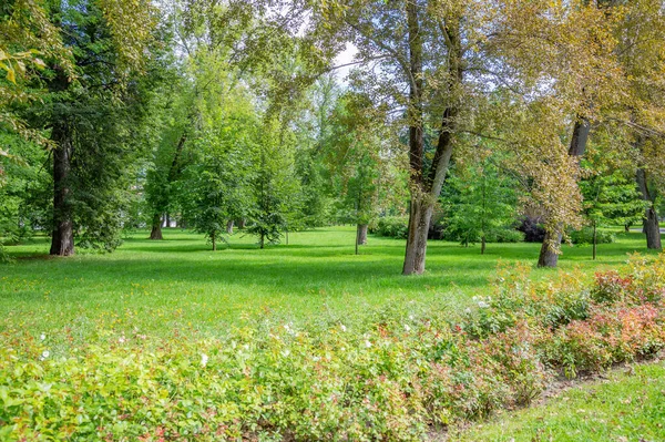 Césped Verde Zona Paseo Del Parque Ciudad Verano — Foto de Stock