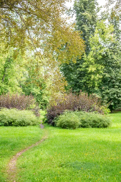 Grünes Gras Gehbereich Des Sommerlichen Stadtparks — Stockfoto