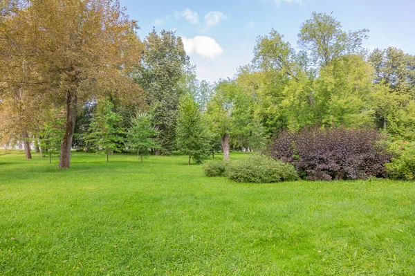 Grünes Gras Gehbereich Des Sommerlichen Stadtparks — Stockfoto