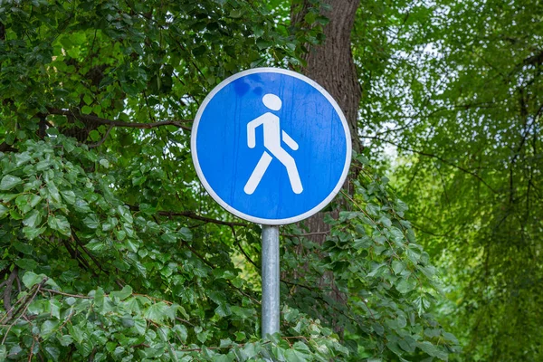 Chemin Panneau Avertissement Bleu Tient Dans Fourré Arbres Verts — Photo