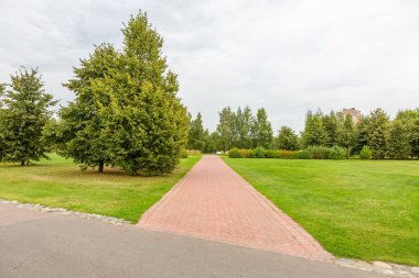 Yayaların yaz aylarında modern yeşil şehir parkında yürümeleri için bir yol.