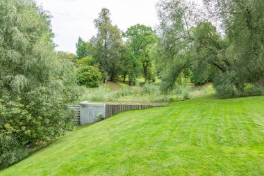 Şehir yaz parkının dinlenme bölgesinde yeşil çimenler.