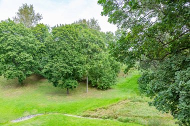 Şehir yaz parkının dinlenme bölgesinde yeşil çimenler.