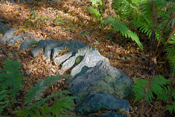 Neošetřený Surový Přírodní Kámen Každodenním Prostředí Zahradničení Terénní Úpravy — Stock fotografie