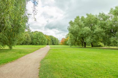 Yayaların yaz aylarında modern yeşil şehir parkında yürümeleri için bir yol.