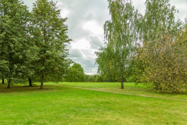 Yayaların yaz aylarında modern yeşil şehir parkında yürümeleri için bir yol.