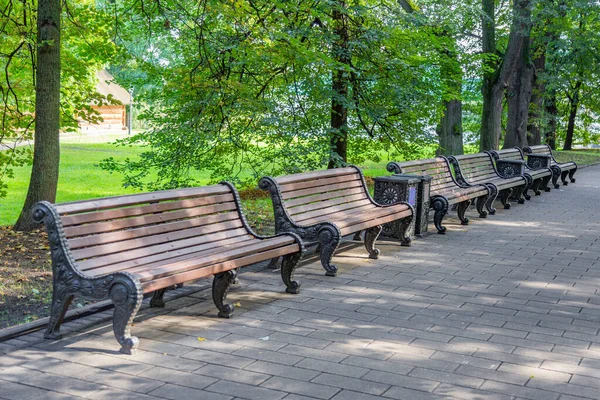 Una Panca Ricreazione Fatta Tavole Ferro Battuto Parco Cittadino Estate — Foto Stock