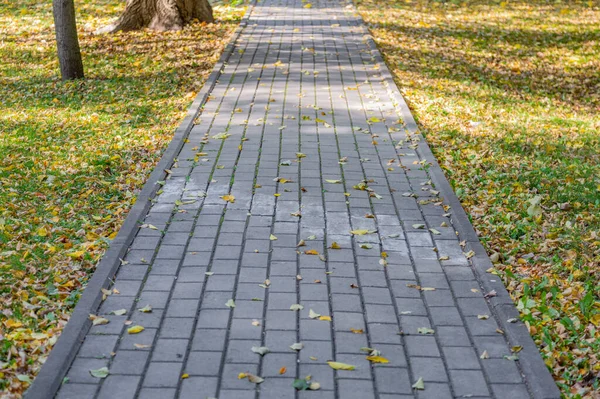 Stezka Pro Chodce Procházku Moderním Zeleném Městském Parku Podzim — Stock fotografie