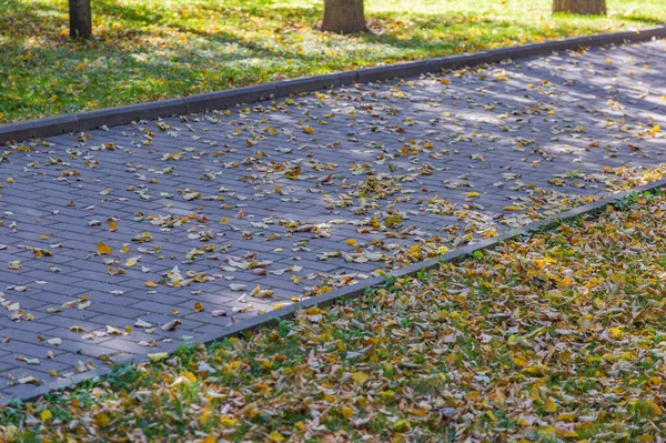 Ścieżka Dla Pieszych Spaceru Nowoczesnym Zielonym Parku Miejskim Jesienny Dzień — Zdjęcie stockowe