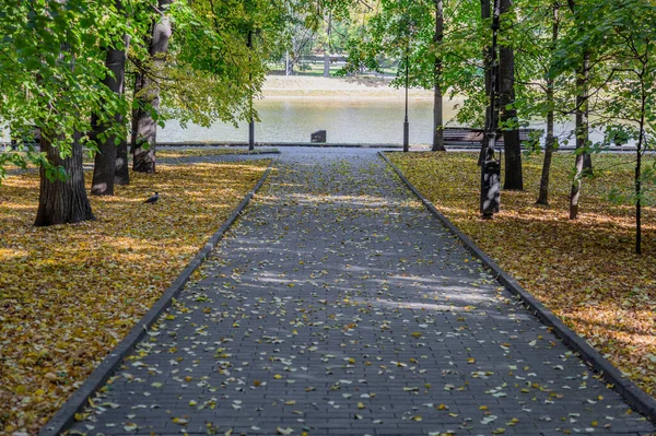 Caminho Para Pedestres Caminharem Moderno Parque Verde Cidade Outono Durante — Fotografia de Stock