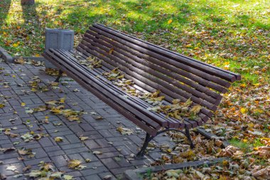 Sonbaharda bir şehir parkında tahtadan ve demirden yapılmış bir tezgah.