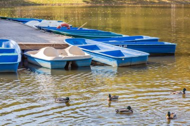 Boş mavi plastik teknelerle dolu sonbahar şehri göleti