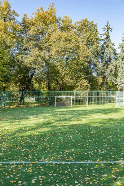 Yeşil Futbol Sahasının Bir Kısmı Insan Olmadan Sarı Yapraklarla Kaplıdır — Stok fotoğraf