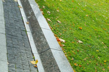 Sonbahar zemininde parlak düşmüş altın renkli yapraklar.