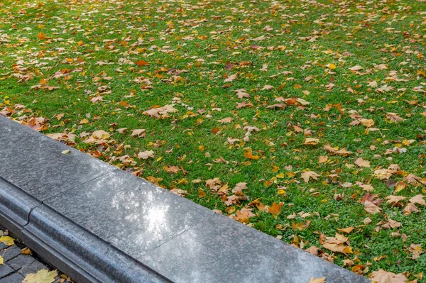 Bright fallen leaves of golden color on the autumn ground