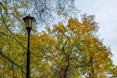 Halka açık bir parkta antika siyah bir fener.