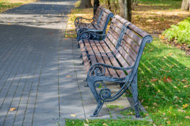 Sonbaharda bir şehir parkında tahtadan ve demirden yapılmış bir tezgah.