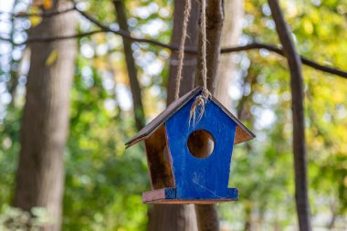 Yaz kenti parkında ahşap kuş besleyicisi.