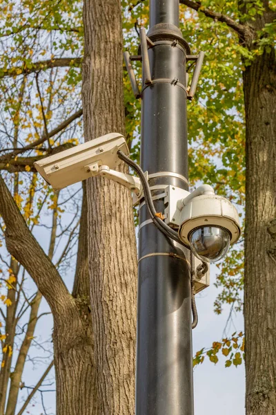 Telecamera Sicurezza Esterna Lampione Nel Parco Pubblico — Foto Stock