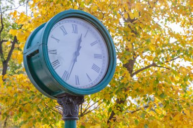 Bir sonbahar parkında sarı yapraklı arka planda siyah okları olan yuvarlak beyaz ve yeşil bir saat.