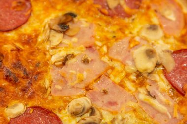 Baharatlı peynirli pizza. Ev yapımı taze pişirme tarifi