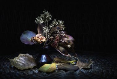 Bitkilerin ve çiçeklerin durgun yaşamı