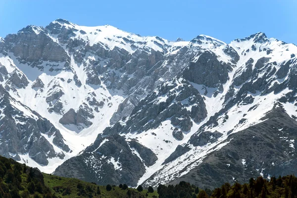 カザフスタンの山は — ストック写真