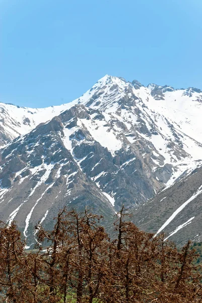 Kazakistan Dağları Yedekte — Stok fotoğraf