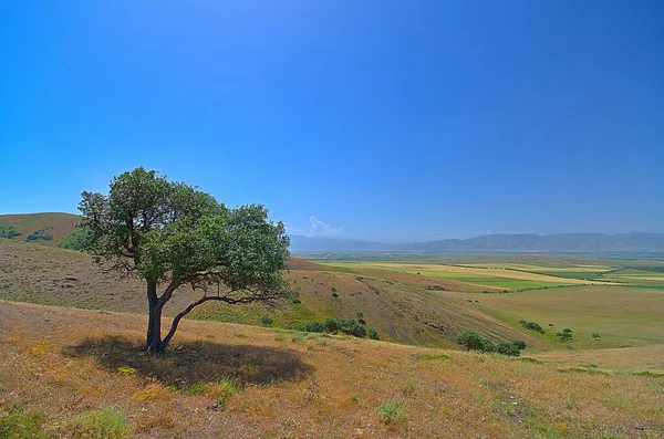 Natureza Sul Cazaquistão Estepes Montanhas — Fotografia de Stock