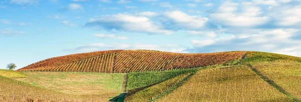 Groothoek Panorama Langhe Heuvels Herfst Unesco Erfgoed Noord Italië — Stockfoto