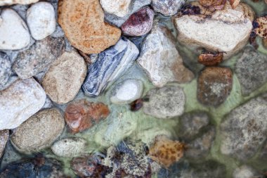 Bir derenin yakınındaki taşları ve kaldırımları kapatın..