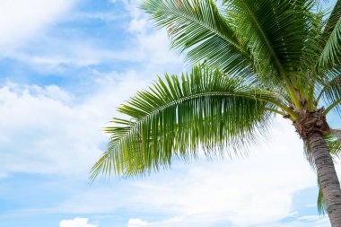 Çevrimiçi alışveriş için dijital tablet üzerindeki satın alma tuşuna basarak arka planda bulanık kredi kartıyla erkeklere seçici bir şekilde odaklan. Sosyal mesafeyi desteklemek için çevrimiçi ödeme kavramı.