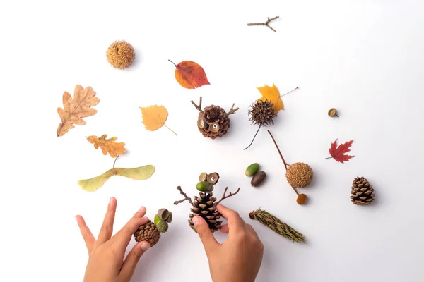pine cone fall or autumn craft for children