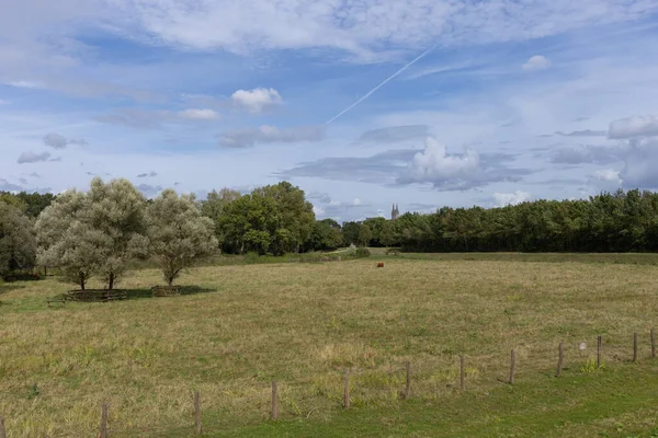 Yaz manzarası, mavi gökyüzü.