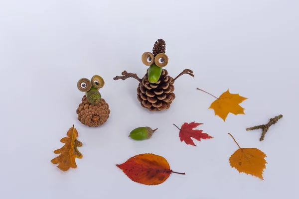 Podzimní přírodní řemeslo pro děti, podzimní aktivita — Stock fotografie