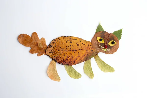 Artesanía otoño naturaleza para niños, gato de hoja —  Fotos de Stock